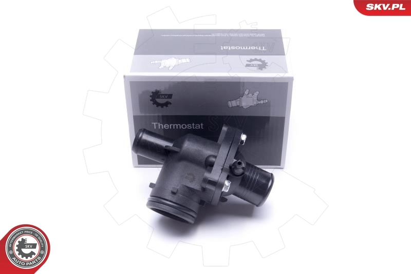 Thermostat, coolant
